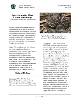 Eastern Massasauga Natural Diversity Section June 2011