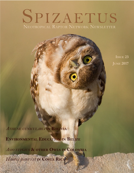 Spizaetus Neotropical Raptor Network Newsletter