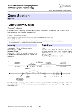 Gene Section Review