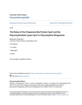 The Roles of the Chaperone-Like Protein Cpez and the Phycoerythrobilin Lyase Cpey in Phycoerythrin Biogenesis