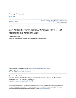 Dam Politics: Bolivian Indigeneity, Rhetoric, and Envirosocial Movements in a Developing State