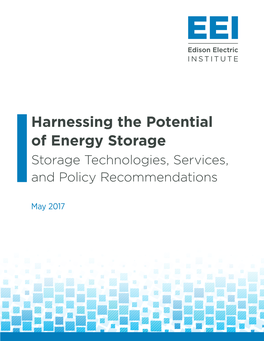 Harnessing the Potential of Energy Storage Storage Technologies, Services, and Policy Recommendations