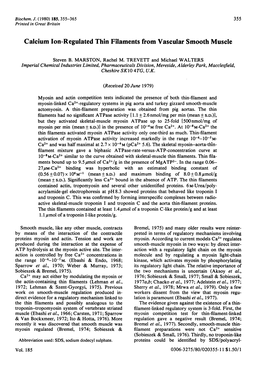 Calcium Ion-Regulated Thin Filaments from Vascular Smooth Muscle