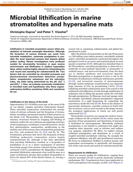 Microbial Lithification in Marine Stromatolites and Hypersaline Mats