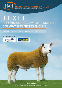 Solway and Tyne Club Sale