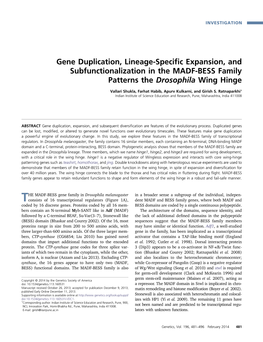 Gene Duplication, Lineage-Specific Expansion, And