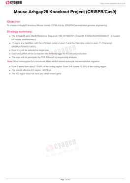 Mouse Arhgap25 Knockout Project (CRISPR/Cas9)