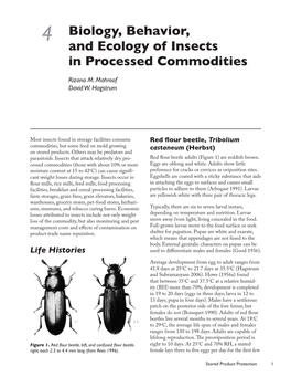 4 Biology, Behavior, and Ecology of Insects in Processed Commodities