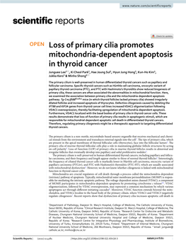 Loss of Primary Cilia Promotes Mitochondria-Dependent Apoptosis in Thyroid Cancer