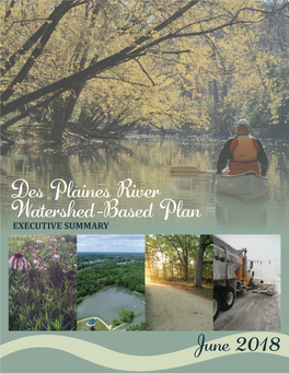 Des Plaines River Watershed-Based Plan EXECUTIVE SUMMARY