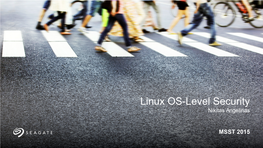 Linux OS-Level Security Nikitas Angelinas