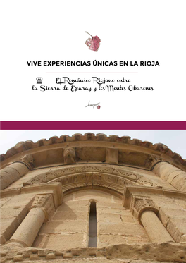 Vive Experiencias Únicas En La Rioja
