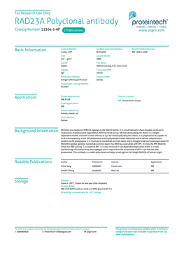 RAD23A Polyclonal Antibody