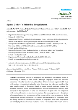 Sperm Cells of a Primitive Strepsipteran