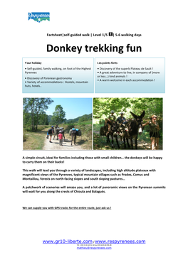 Donkey Trekking Fun