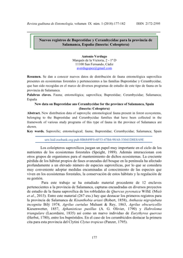 Los Coleópteros Saproxílicos Juegan Un Papel Muy Importante En El Ciclo De Los Nutrientes De Los Ecosistemas Forestales (Speight, 1989)