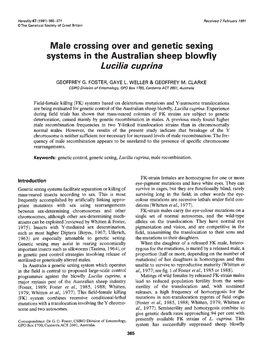 Systems in the Australian Sheep Blowfly Lucilia Cuprina