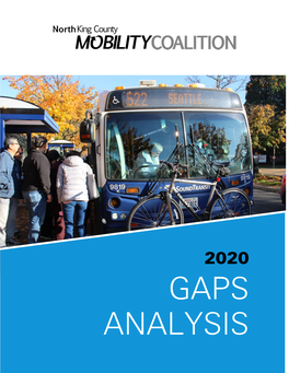 2020 Gaps Analysis Executive Summary