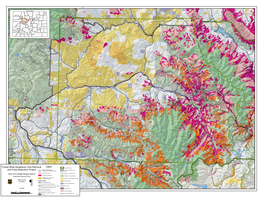 Forest Wide Hazardous Tree Removal and Fuels Reduction Project