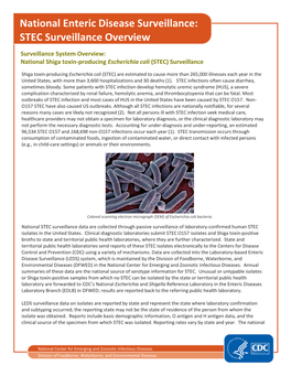 National Shiga Toxin-Producing Escherichia Coli (STEC) Surveillance