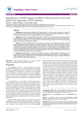 Knockdown of AAMP Impacts on HECV Cell Functions in Vitro and Affects the Expression of VE-Cadherin