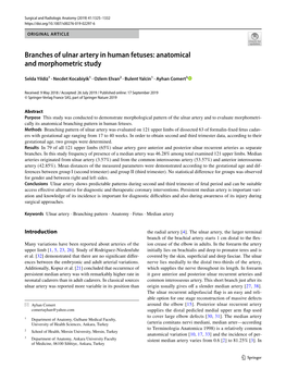 Branches of Ulnar Artery in Human Fetuses: Anatomical and Morphometric Study