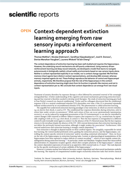 Context-Dependent Extinction Learning Emerging from Raw