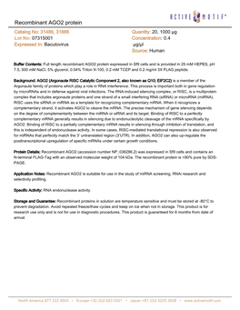 Recombinant AGO2 Protein Catalog No: 31486, 31886 Quantity: 20, 1000 Μg Lot No: 07315001 Concentration: 0.4 Expressed In: Baculovirus Μg/Μl Source: Human