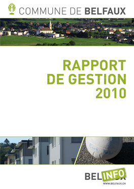 Rapport De Gestion 2010