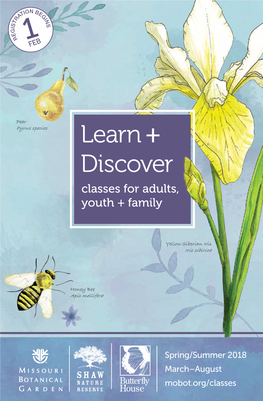 Learn + Discover Classes for Adults, Youth + Family