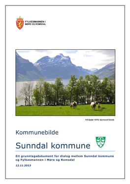 Kommunebilde