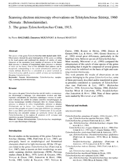 Scanning Electron Microscope Observations on The