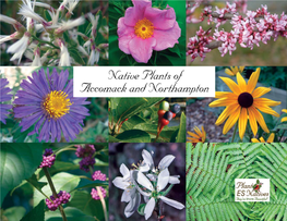 Native Plants of Accomack and Northampton Plant Accommack and Northampton Natives!