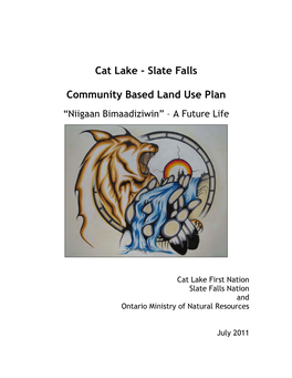 Cat Lake-Slate Falls Community Based Land Use Plan