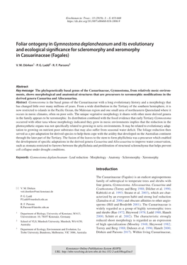 Foliar Ontogeny in Gymnostoma Deplancheanum and Its