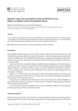 Zootaxa, Immature Stages and Redescription of Lejops Barbiellinii