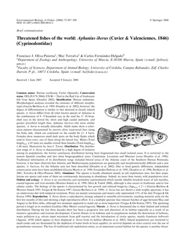 Aphanius Iberus (Cuvier & Valenciennes, 1846) (Cyprinodontidae)