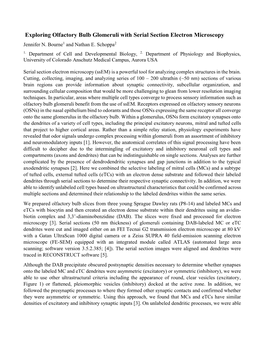 Exploring Olfactory Bulb Glomeruli with Serial Section Electron Microscopy Jennifer N