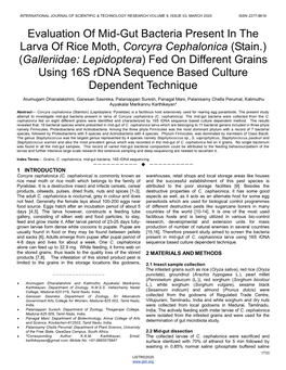 Evaluation of Mid-Gut Bacteria Present in the Larva of Rice Moth