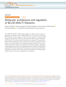 Molecular Architecture and Regulation of BCL10-MALT1 Filaments
