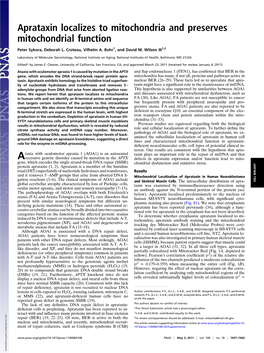 Aprataxin Localizes to Mitochondria and Preserves Mitochondrial Function