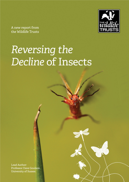 Reversing the Decline of Insects