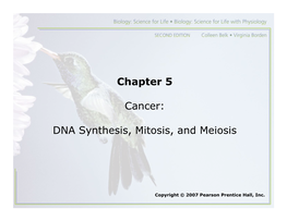 Chapter 5 Cancer: DNA Synthesis, Mitosis, and Meiosis