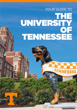 Your Guide to the University of Tennessee