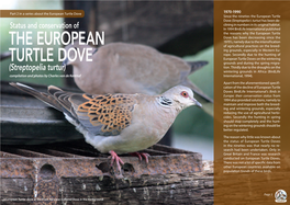 The European Turtle Dove 1970-1990 Since the Nineties the European Turtle Dove (Streptopelia T