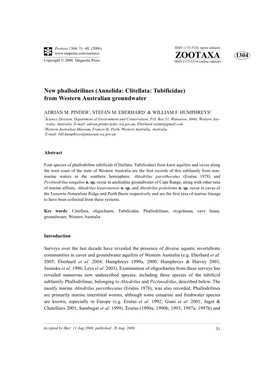 Zootaxa 1304: 31–48 (2006) ISSN 1175-5326 (Print Edition) ZOOTAXA 1304 Copyright © 2006 Magnolia Press ISSN 1175-5334 (Online Edition)