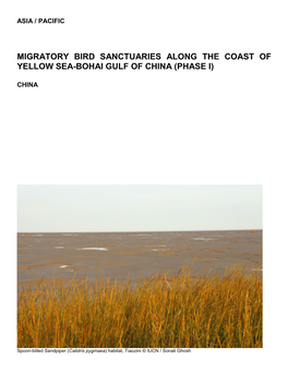 Migratory Bird Sanctuaries Along the Coast of Yellow Sea-Bohai Gulf of China (Phase I)