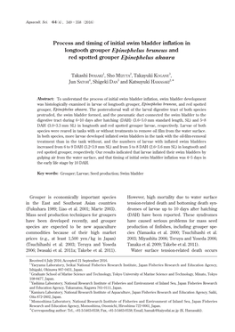 Process and Timing of Initial Swim Bladder Inflation Inlongtooth