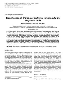 Identification of Zinnia Leaf Curl Virus Infecting Zinnia Elegans in India