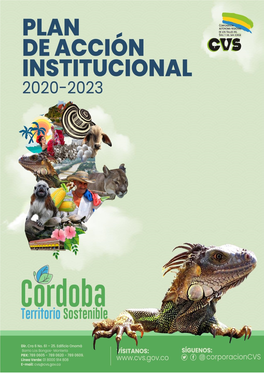 Plan De Acción Institucional 2020 – 2023 Corporación Autónoma